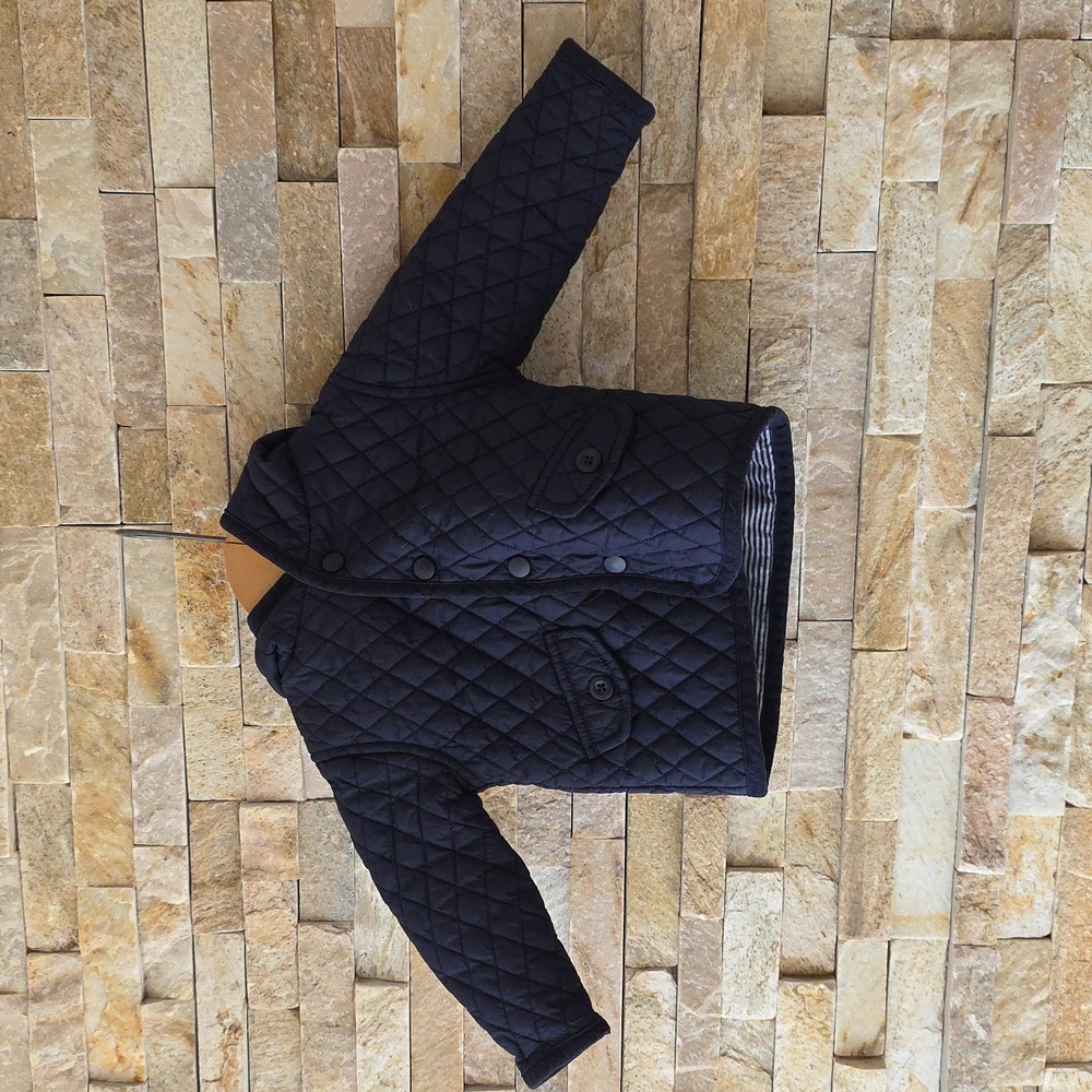 Quilted Jacket with Hidden Dinosaur